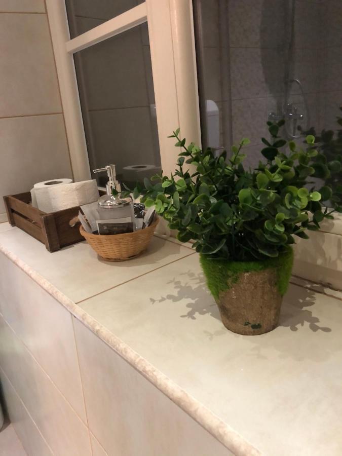 Cozy Central Apartment Брашов Екстер'єр фото